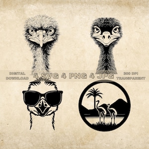 Ostrich SVG Bundle, PNG, Ostrich Clipart, Hand Drawn Ostrich Vector Illustration, SVG Files For Laser Engraving