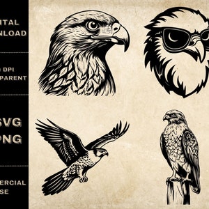 Falcon SVG Bundle, PNG, Falcon Clipart, Hand Drawn Falcons Vector Illustration, SVG Files For Laser Engraving