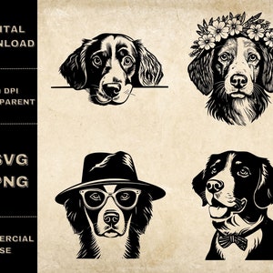 Pacchetto SVG Brittany Spaniel, PNG, Clipart cane carino, Illustrazione vettoriale di cani disegnati a mano, File SVG per incisione laser