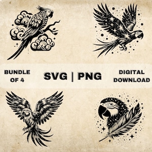 Papegaai SVG bundel, Fantasy Bird clipart, hand getrokken papegaaien thema vectorillustratie, SVG-bestanden voor lasergravure & ambacht