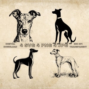 Whippet SVG Bundle, PNG, Hunde Clipart, handgezeichnete Hund Vektor Illustration, SVG-Dateien für die Lasergravur