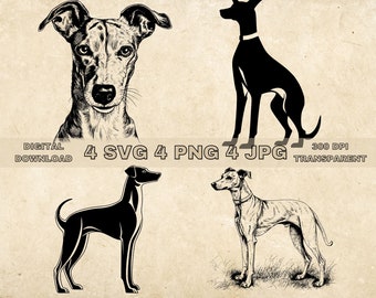 Whippet SVG Bundle, PNG, Dogs Clipart, Hand Drawn Dog Vector Illustration, SVG Files For Laser Engraving