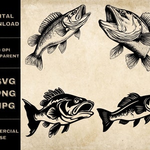 Walleye Fish SVG Bundle, PNG, Fishing Clipart, Hand Drawn Walleye Vector Illustration, SVG Files For Laser Engraving