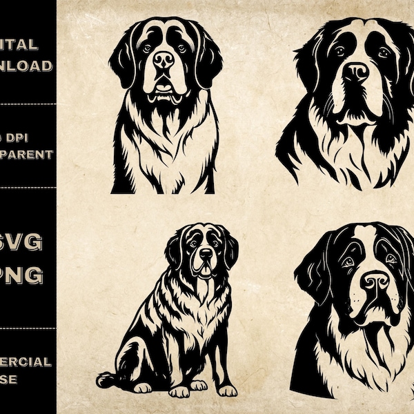 St. Bernard SVG Bundle, PNG, Saint Bernard Clipart, Hand Drawn Dog Face Vector Illustration, SVG Files For Laser Engraving