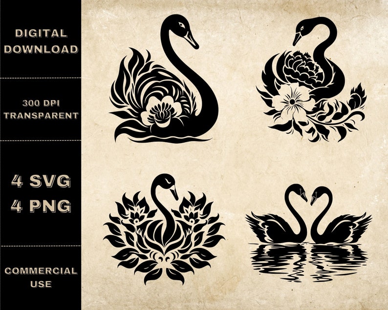 Swan SVG Bundle PNG Swan With Flowers Clipart Hand Drawn - Etsy