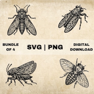 Cicada SVG Bundle, Bug Clipart, Hand Drawn Insect Lover Theme Vector Illustration, PNG Files For Laser Engraving & Craft