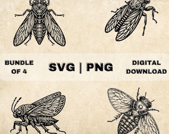 Pode incluir: Um conjunto de quatro ilustrações em preto e branco de cigarras. As cigarras são desenhadas em um estilo detalhado e intrincado, com suas asas e corpos mostrando muitos detalhes. As ilustrações são perfeitas para usar em uma variedade de projetos, como scrapbooking, criação de cartões e design digital.