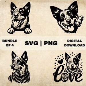 Blue Heeler SVG Bundle, słodkie psy Clipart, ręcznie rysowana ilustracja wektorowa motywu psa, pliki SVG do grawerowania laserowego i rzemiosła