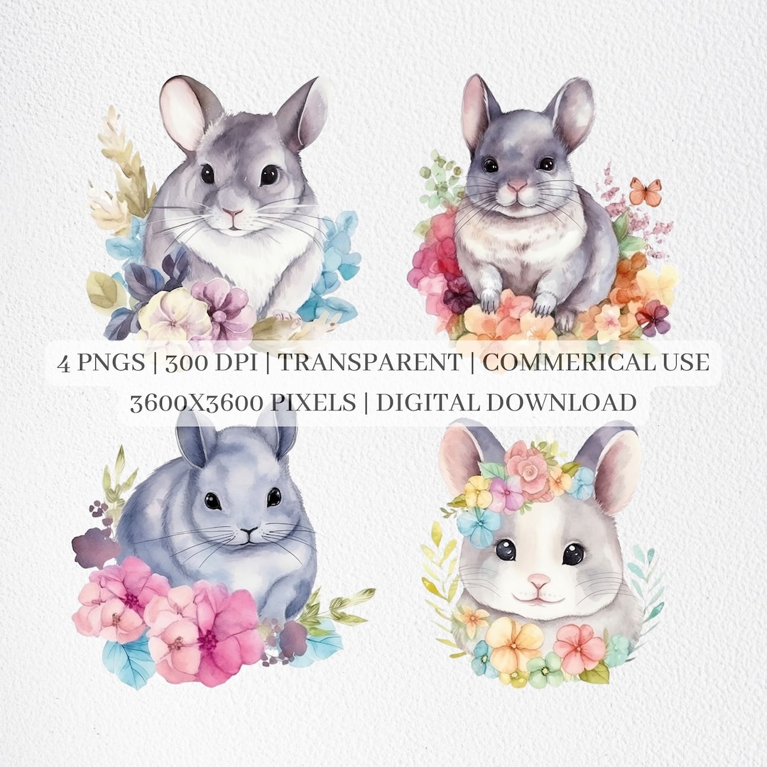 Chinchilla Clipart, Watercolor Chinchillas PNG, Cute Animals Nursery