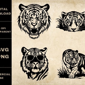 Tiger Face SVG Bundle, PNG, Tiger Clipart, Hand Drawn Tiger Vector Illustration, SVG Files For Laser Engraving