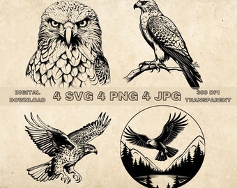 Hawk SVG Bundle, PNG, Hawk Clipart, Hand Drawn Hawks Vector Illustration, SVG Files For Laser Engraving