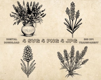Lavender SVG Bundle, PNG, Flowers Clipart, Hand Drawn Lavenders Vector Graphic Illustration, SVG Files For Laser Engraving