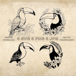 Toucan SVG Bundle, PNG, Toucan Clipart, Hand Drawn Exotic Bird Vector Illustration, SVG Files For Laser Engraving