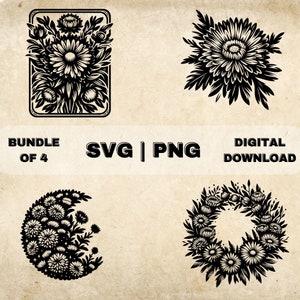 Aster SVG Bundle, Asters Flowers Clipart, Hand Drawn Floral Theme Vector Illustration, SVG Files For Laser Engraving & Craft