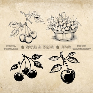 Kirsche SVG Bundle, PNG, Obst Clipart, handgezeichnete Kirschen Vektor Illustration, SVG-Dateien für die Lasergravur