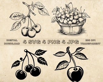Cherry SVG Bundle, PNG, Fruit Clipart, Hand Drawn Cherries Vector Illustration, SVG Files For Laser Engraving