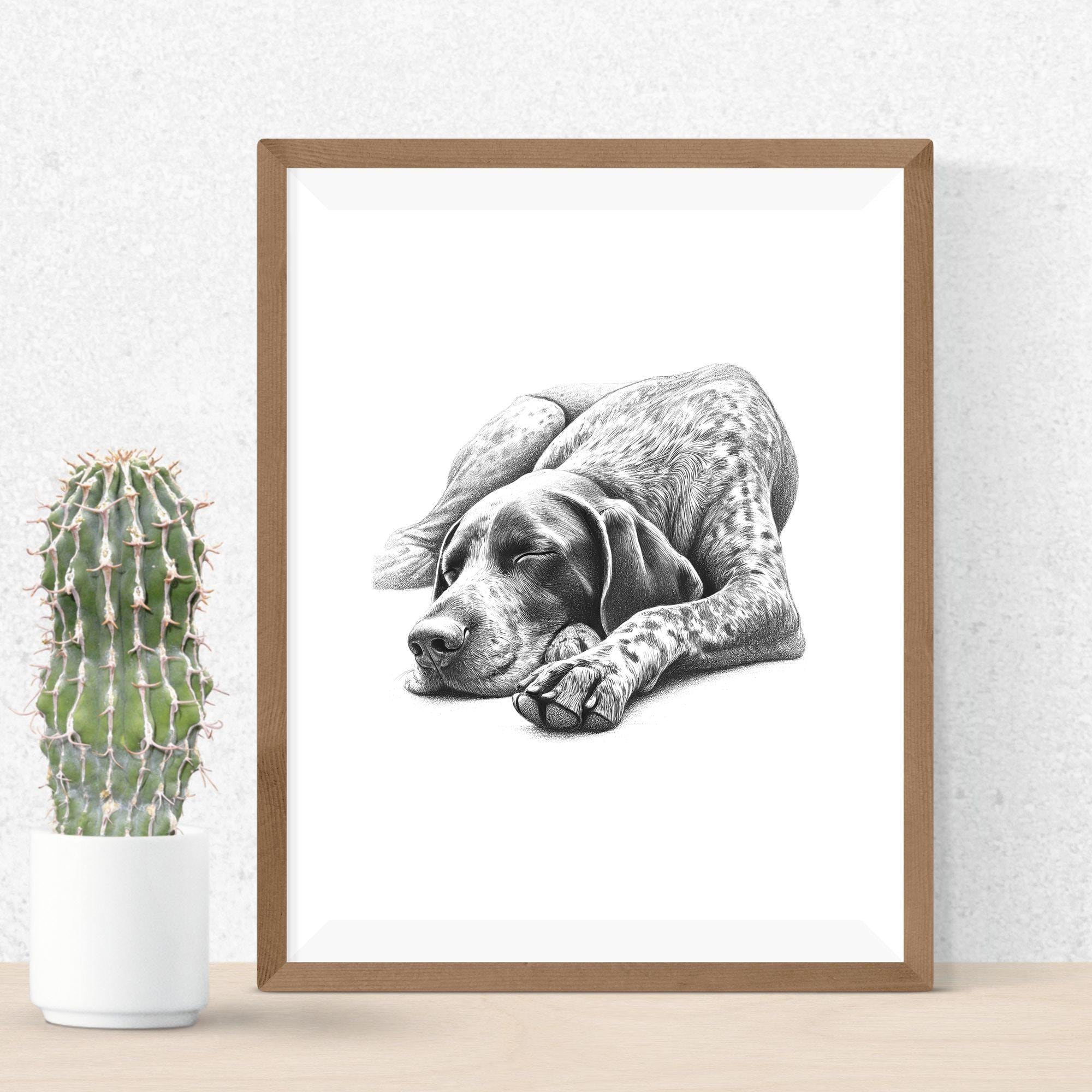 German Shorthaired Pointer Sleeping PNG Sublimation File for Shirt ...