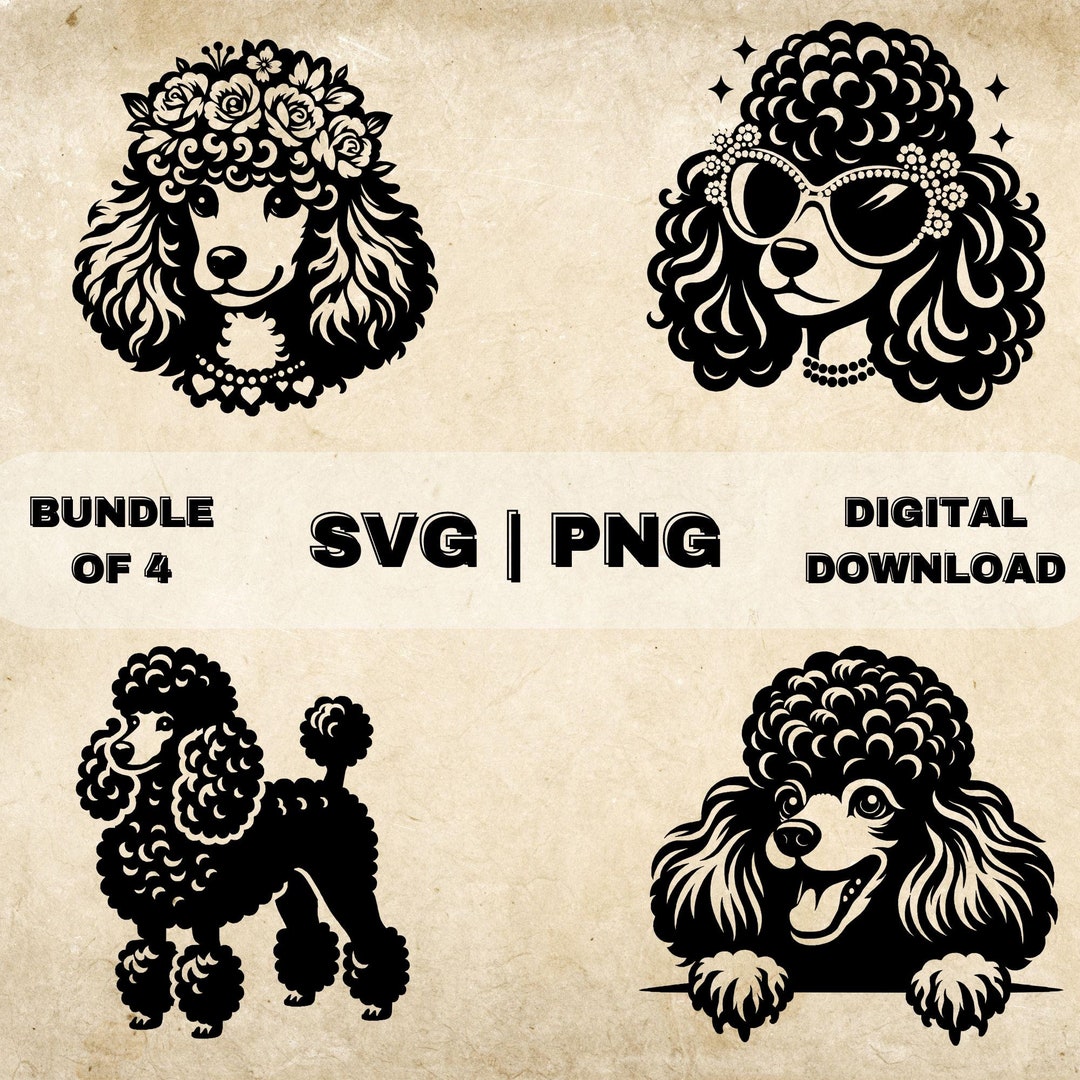 Poodle SVG Bundle, Poodle Clipart, Hand Drawn Dog Theme Vector ...