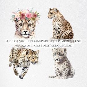 Leopard Clipart, Leopard PNG Files For Sublimation, Wild Animals Clip Art, Nursery Animal Prints, Printable Wall Art, Commercial Use