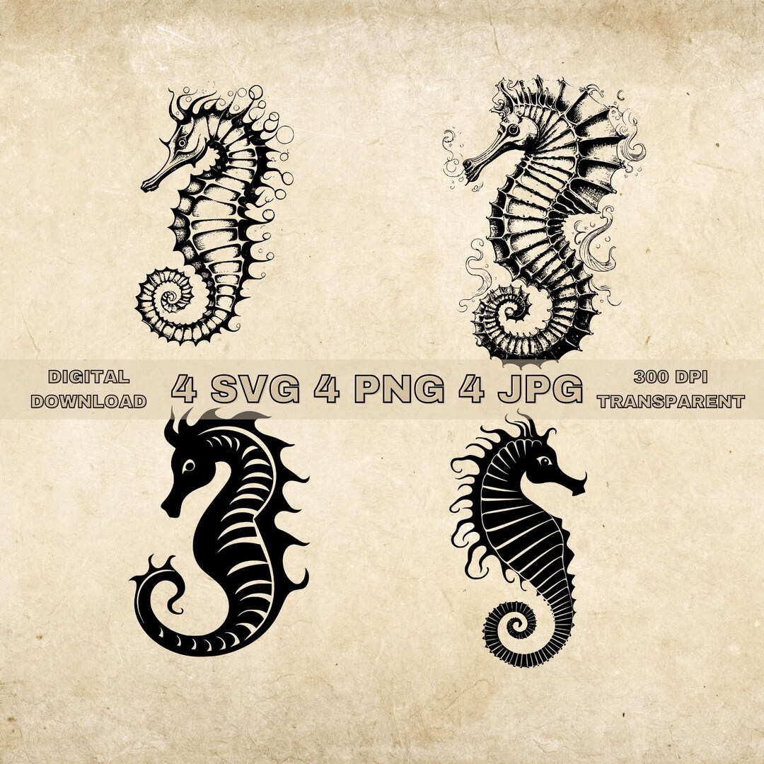 Seahorse SVG Bundle, PNG, Seahorse Clipart, Hand Drawn Seahorses Vector
