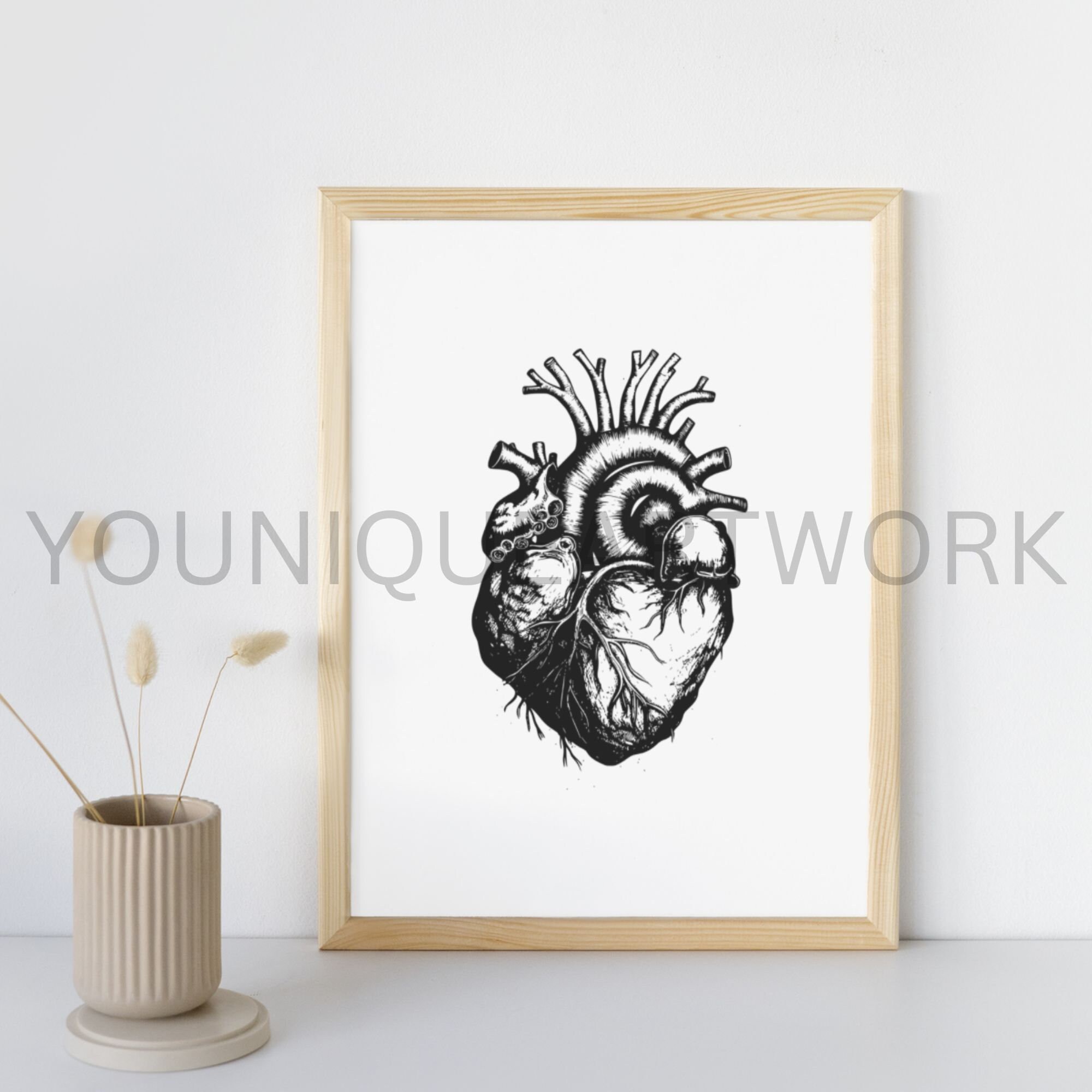 Anatomical Heart SVG Bundle PNG Anatomical Heart Clipart - Etsy