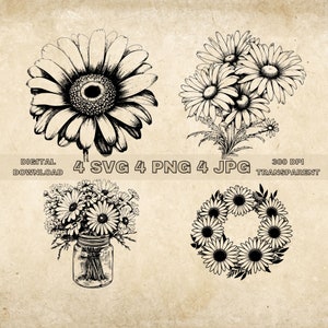 Daisy SVG Bundle, PNG, Daisies SVG, Flower Clipart Cut Files, Birthday Floral Svg, Hand Drawn Daisy Vector Art