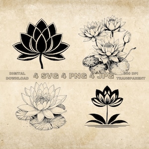 Pacote SVG de nenúfar, PNG, clipart floral, ilustração gráfica de flores desenhadas à mão, arquivos SVG para gravação a laser