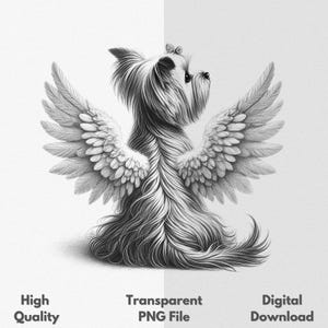 Yorkshire Terrier Gedenkengel mit Flügeln PNG Sublimationsdatei für Shirt & Becher, Skizze, Zeichnung, digitaler Download