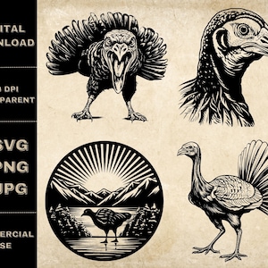 Turkey SVG Bundle, PNG, Thanksgiving Turkey Clipart, Hand Drawn Turkey Vector Illustration, SVG Files For Laser Engraving