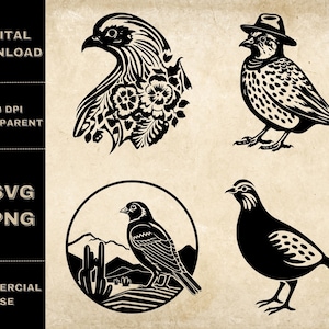 Pacote SVG de codorna, PNG, clipart de pássaro fofo, ilustração vetorial de codorna desenhada à mão, arquivos SVG para gravação a laser