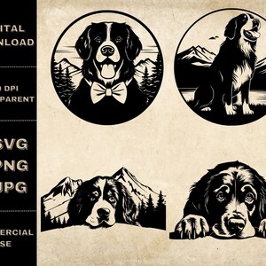 Berner Sennenhund SVG Bundle, PNG, süße Hunde Clipart, handgezeichnete Spähhund Vektor Illustration, SVG-Dateien für Lasergravur