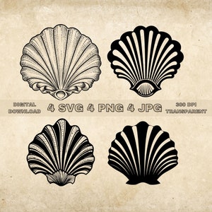 Seashell SVG Bundle, PNG, Seashell Clipart, Hand Drawn Seashell Vector Illustration, SVG Files For Laser Engraving