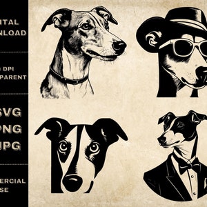 Pacchetto SVG levriero, PNG, Cani divertenti Clipart, Illustrazione vettoriale cane disegnato a mano, File SVG per incisione laser