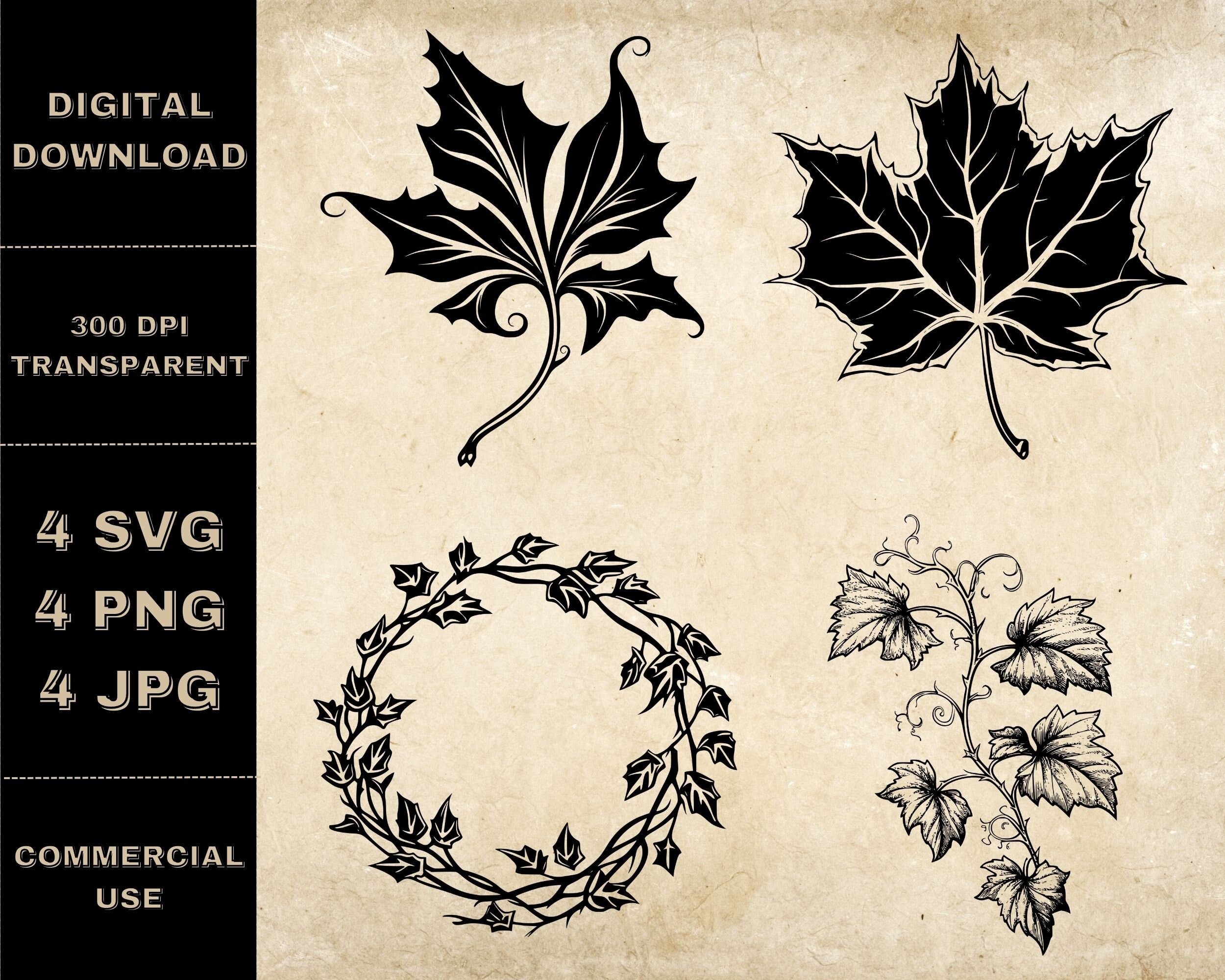 Ivy SVG, Leaf SVG Vector and Clipart Files