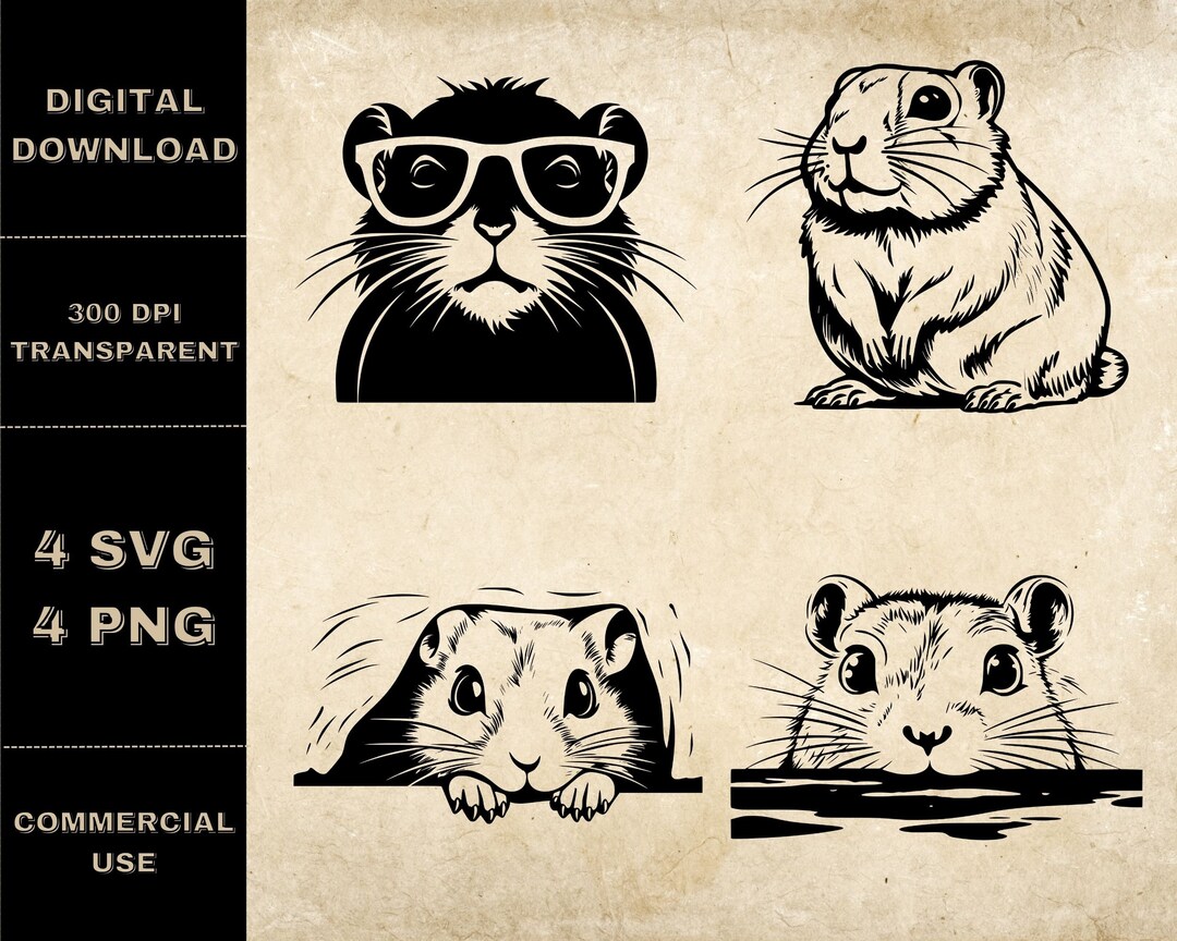Gerbil SVG Bundle, PNG, Cute Gerbil Clipart, Hand Drawn Gerbil Vector ...