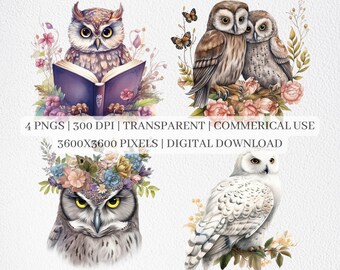 Floral Owl Clipart, Owl PNG Files For Sublimation, Owls Clip Art, Mystical Owl Print, Printable Wall Art, Commercial Use
