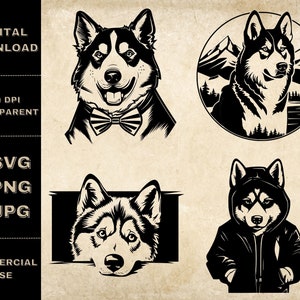 Husky sibérien SVG Bundle, PNG, Clipart chien mignon, Illustration vectorielle de chien furtivement dessiné à la main, fichiers SVG pour la gravure au laser