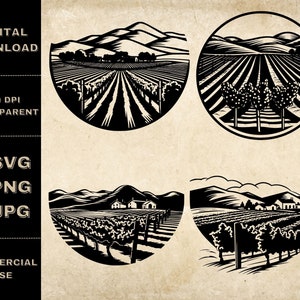 Vignoble SVG Bundle, PNG, Clipart de vigne, Illustration vectorielle de vignoble dessiné à la main, Fichiers SVG pour la gravure au laser