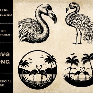 Flamingo SVG Bundle, PNG, Flamingo Clipart, Illustration vectorielle de flamants roses dessinés à la main, Fichiers SVG pour la gravure au laser