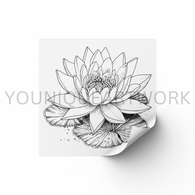 Water Lily SVG Bundle, PNG, Floral Clipart, Hand Drawn Flowers Graphic