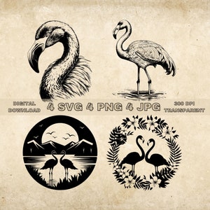 Flamingo SVG Bundle, PNG, Flamingo Clipart, Illustrazione vettoriale di fenicotteri disegnati a mano, File SVG per incisione laser
