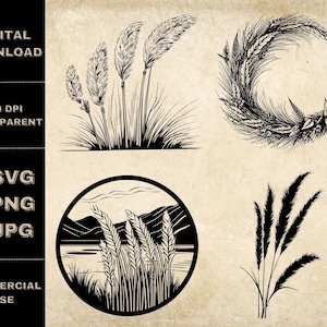 Pampass Grass SVG Bundle, PNG, Pampass Grass Clipart, Hand Drawn Grass Vector Illustration, SVG Files For Laser Engraving