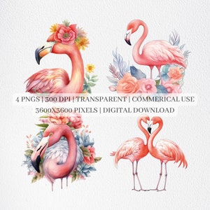 Floral Flamingo Clipart, Flamingo PNG Files For Sublimation, Flamingos Clip Art, Flamingo Prints, Printable Wall Art, Commercial Use
