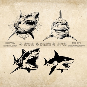 Shark SVG Bundle, PNG, Sea Animal Clipart, Hand Drawn Sharks Vector Illustration, SVG Files For Laser Engraving