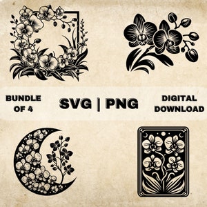 Orchid SVG Bundle, Orchids Flowers Clipart, Hand Drawn Floral Theme Vector Illustration, SVG Files For Laser Engraving & Craft