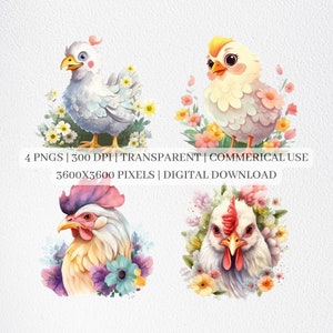 Adorable Chicken Clipart, Chickens PNG, Chickens Clip Art, Farm Animal PNG Format Instant Download For Commercial Use