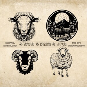 Pacchetto SVG di pecora, PNG, Clipart di pecora, Illustrazione vettoriale animale da fattoria disegnata a mano, File SVG per incisione laser