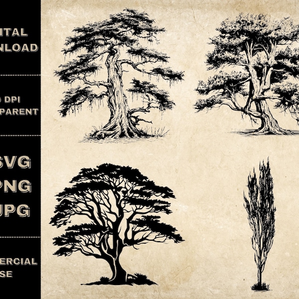 Cypress SVG Bundle, PNG, Trees Clipart, Hand Drawn Cypress Tree Vector Illustration, SVG Files For Laser Engraving