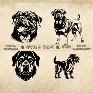 Rottweiler SVG Bundle, PNG, Dogs Clipart, Hand Drawn Dog Vector Illustration, SVG Files For Laser Engraving