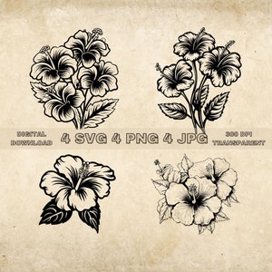 Hibiscus Flower SVG Bundle, PNG, Flowers Clipart, Hand Drawn Hibiscus Vector Graphic Illustration, SVG Files For Laser Engraving